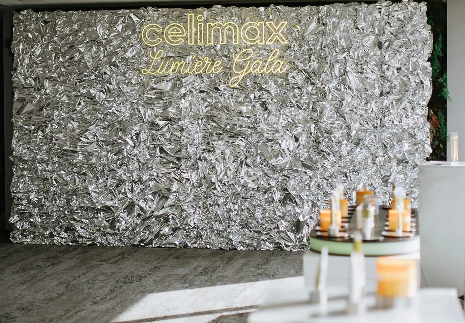 Celimax, Lumière Gala, Paris, France. L’accueil, photo 2 sur 18