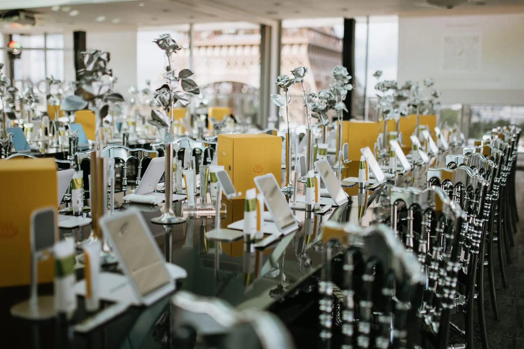Celimax, Lumière Gala, Paris, France. Le dîner, photo 6 sur 18