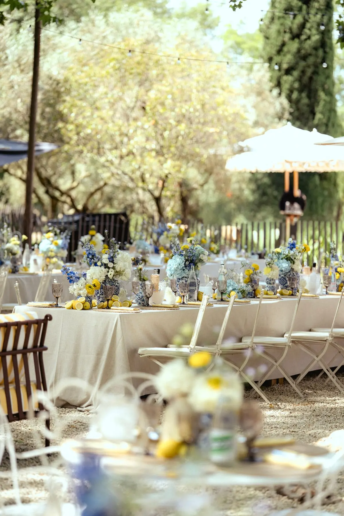 D & B, Mariage, Les Baux-de-Provence, France. Le déjeuner, photo 7 sur 23