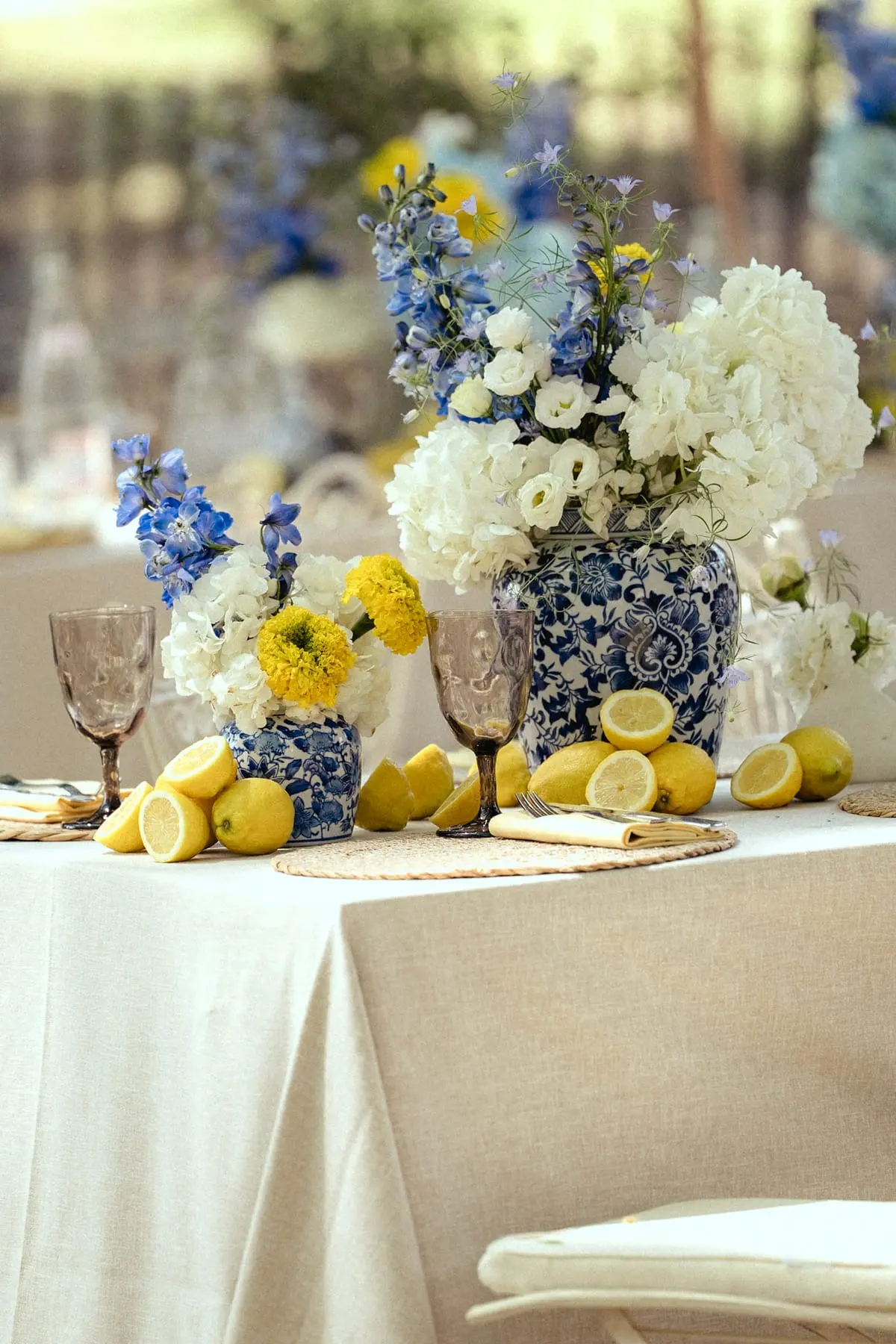 D & B, Mariage, Les Baux-de-Provence, France. Le déjeuner, photo 8 sur 23