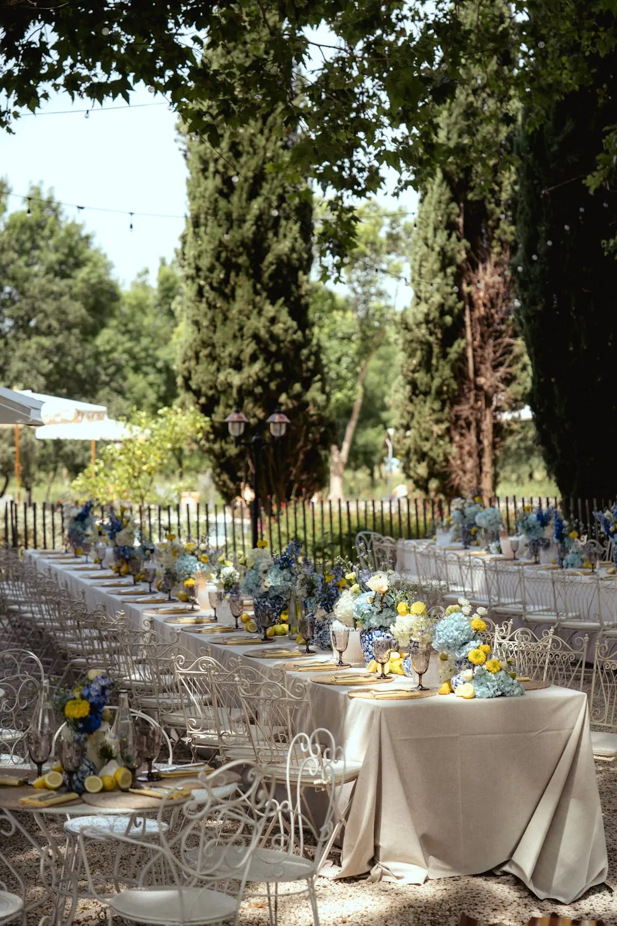 D & B, Mariage, Les Baux-de-Provence, France. Le déjeuner, photo 9 sur 23