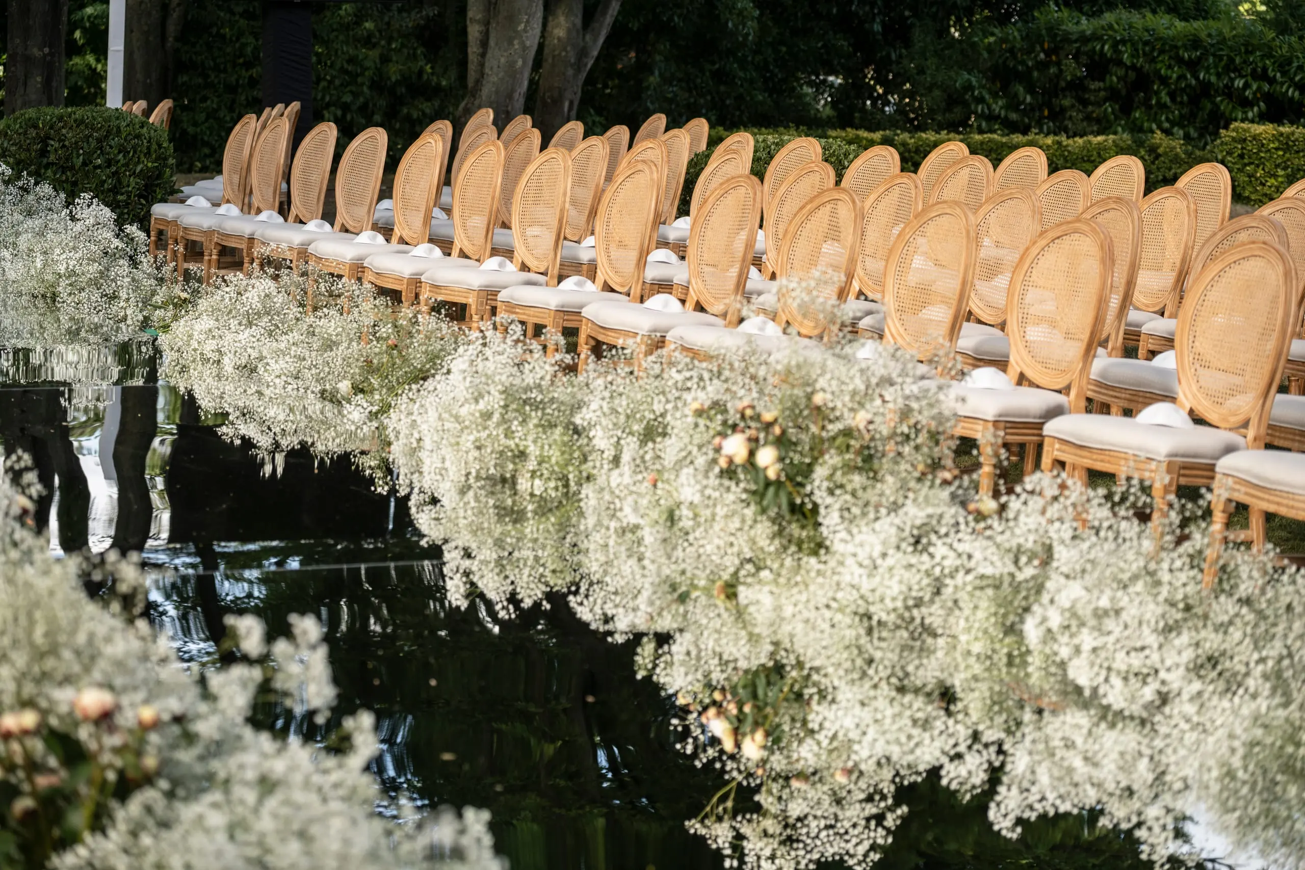 Allée de fleurs blanches se reflétant dans un bassin